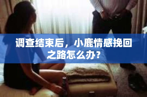调查结束后，小鹿情感挽回之路怎么办？