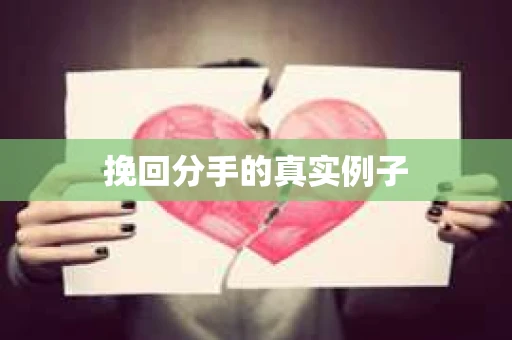 挽回分手的真实例子