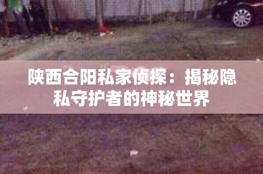 陕西合阳私家侦探：揭秘隐私守护者的神秘世界