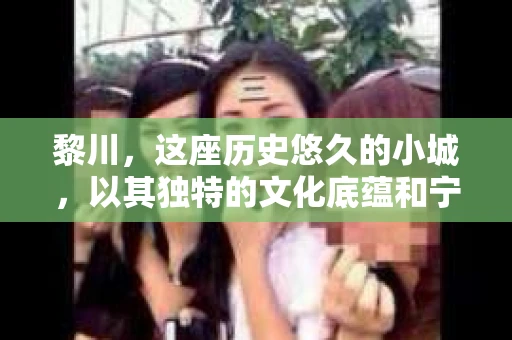 黎川，这座历史悠久的小城，以其独特的文化底蕴和宁静的生活节奏吸引着无数游客。然而，在这样一个看似平静的城市里，你是否会好奇，有没有私家侦探机构的存在呢？今天，就让我带你一探究竟。