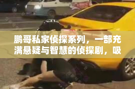 鹏哥私家侦探系列，一部充满悬疑与智慧的侦探剧，吸引了无数观众的眼球。今天，就让我带你走进这个充满神秘色彩的侦探世界，一起在线观看鹏哥私家侦探系列，感受那扣人心弦的故事情节。