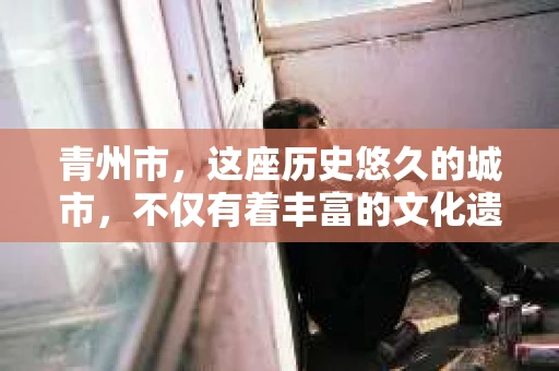 青州市，这座历史悠久的城市，不仅有着丰富的文化遗产，也有着现代生活的便捷。那么，问题来了——青州市有私家侦探公司吗？这个问题，对于需要侦探服务的人来说，无疑至关重要。接下来，我就来为大家揭开这个谜底。