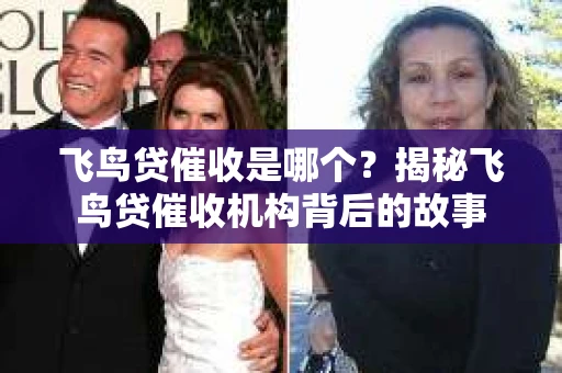 飞鸟贷催收是哪个？揭秘飞鸟贷催收机构背后的故事