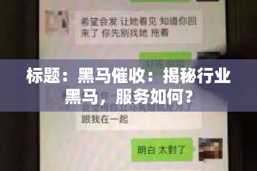 标题：黑马催收：揭秘行业黑马，服务如何？