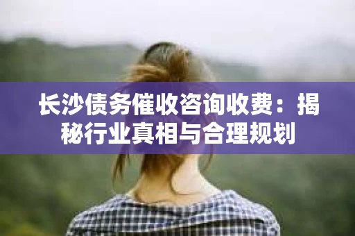 长沙债务催收咨询收费：揭秘行业真相与合理规划