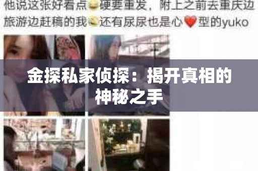 金探私家侦探：揭开真相的神秘之手