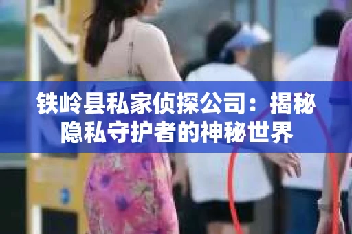 铁岭县私家侦探公司：揭秘隐私守护者的神秘世界