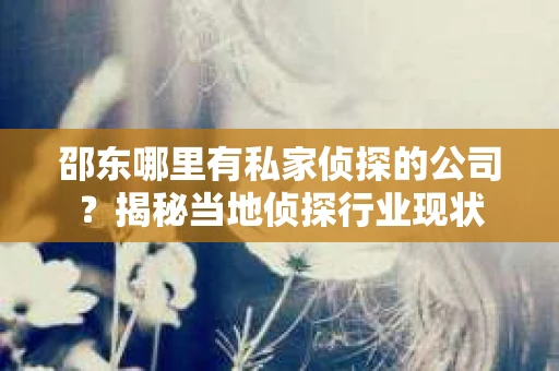 邵东哪里有私家侦探的公司？揭秘当地侦探行业现状