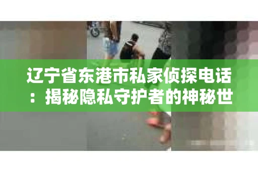 辽宁省东港市私家侦探电话：揭秘隐私守护者的神秘世界