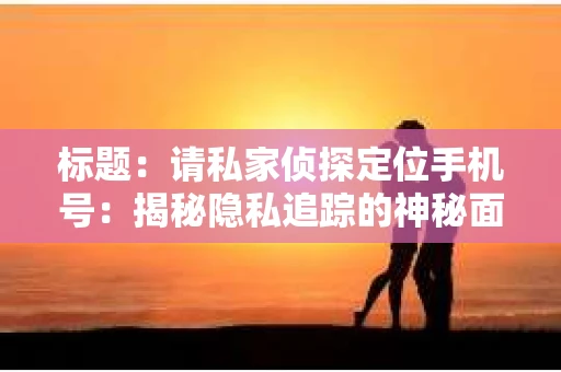 标题：请私家侦探定位手机号：揭秘隐私追踪的神秘面纱