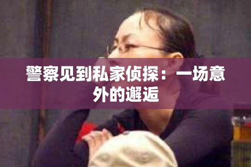 警察见到私家侦探：一场意外的邂逅
