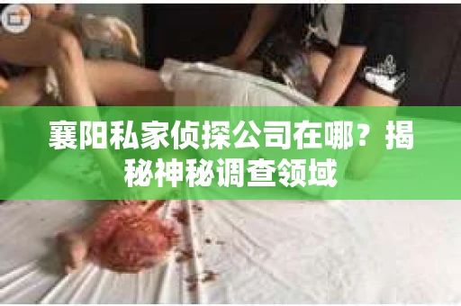 襄阳私家侦探公司在哪？揭秘神秘调查领域