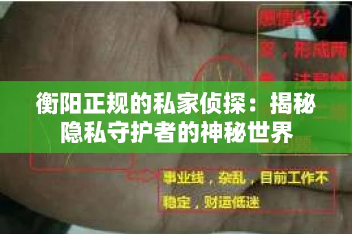 衡阳正规的私家侦探：揭秘隐私守护者的神秘世界