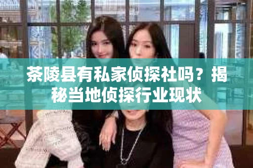 茶陵县有私家侦探社吗？揭秘当地侦探行业现状