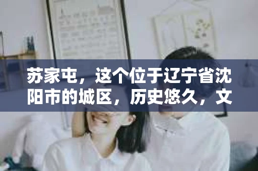 苏家屯，这个位于辽宁省沈阳市的城区，历史悠久，文化底蕴深厚。近年来，随着社会的发展，人们对于私家侦探的需求也逐渐增加。那么，苏家屯有私家侦探吗？今天，我们就来聊聊这个话题。