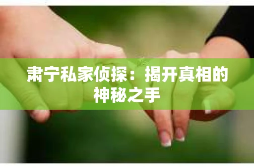 肃宁私家侦探：揭开真相的神秘之手
