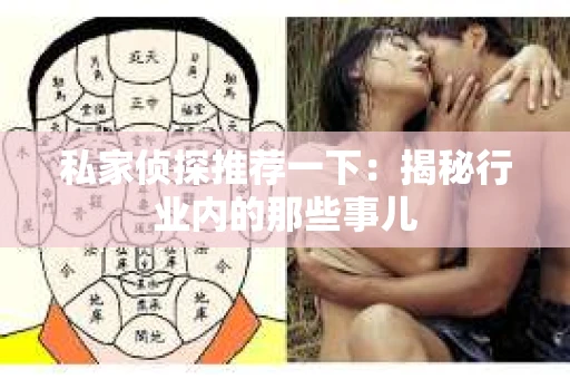 私家侦探推荐一下：揭秘行业内的那些事儿
