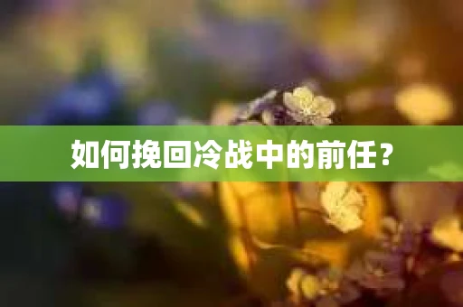 如何挽回冷战中的前任？