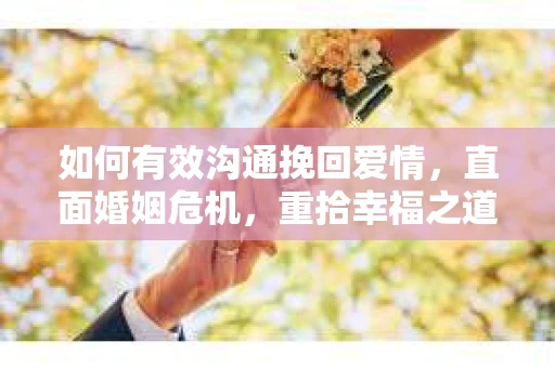 如何有效沟通挽回爱情，直面婚姻危机，重拾幸福之道