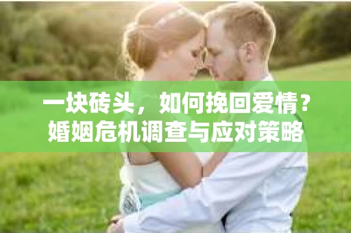 一块砖头，如何挽回爱情？婚姻危机调查与应对策略