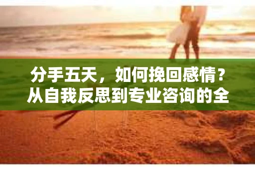 分手五天,如何挽回感情?从自我反思到专业咨询的全面解决方案 分手五天,如何挽回感情?从自我反思到专业咨询的全面解决方案