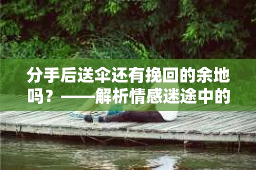 分手后送伞还有挽回的余地吗？——解析情感迷途中的决策