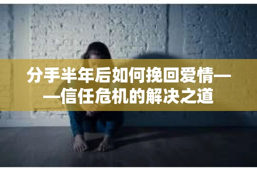 分手半年后如何挽回爱情——信任危机的解决之道